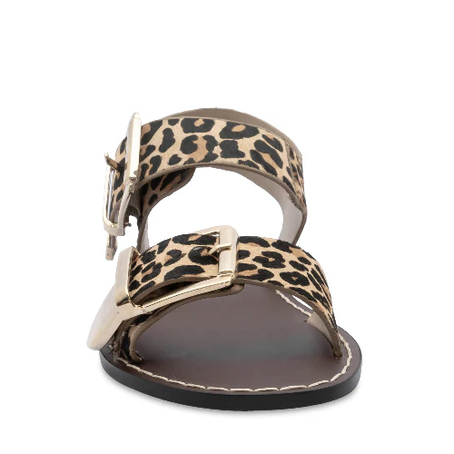 SPENCE LEOPARD - Image 3