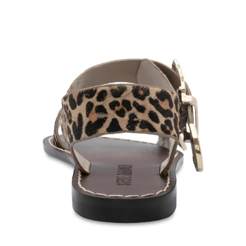 SPENCE LEOPARD - Image 4